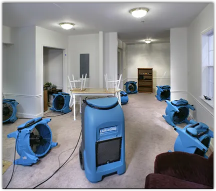 Flood Damage Cleanup in Flossmoor, IL