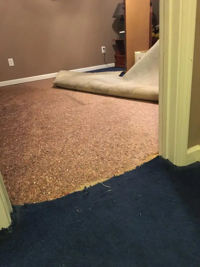 Carpet pad removal revealing water damage during Drying & Dehumidification in Flossmoor