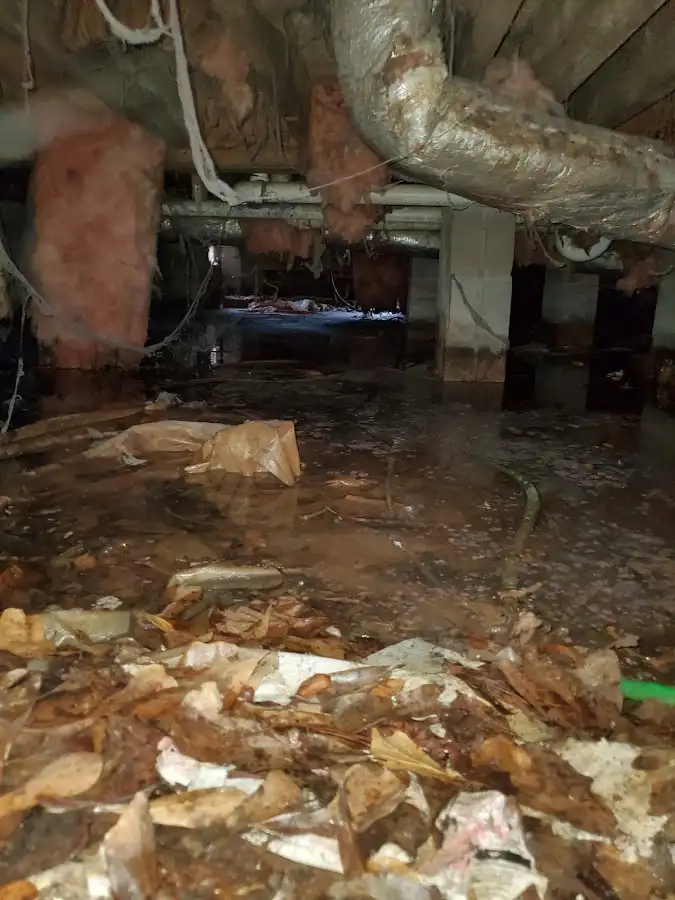 Crawl space flood assessment for Leak Detection & Repair in Flossmoor