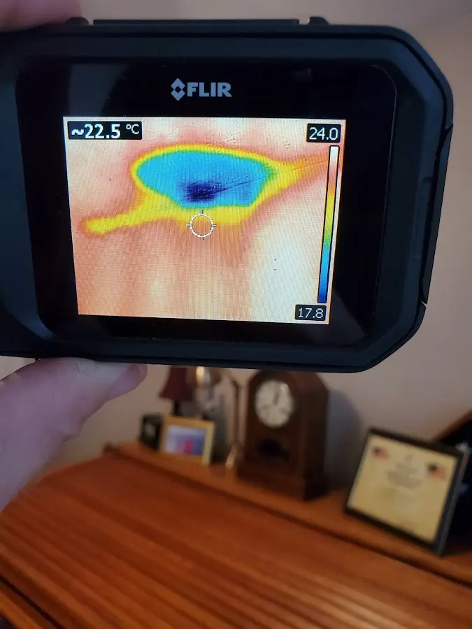 Thermal imaging inspection for water damage in Flossmoor