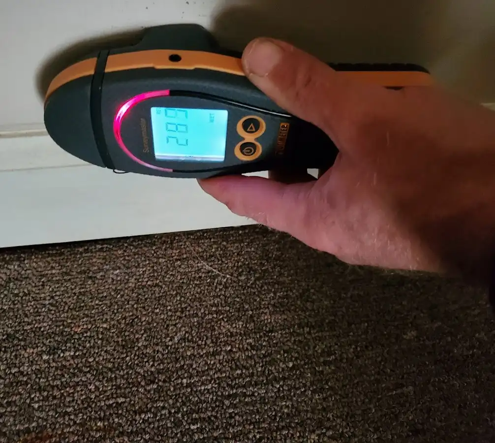 Moisture detection at baseboard during Sewage Cleanup & Sanitation in Flossmoor